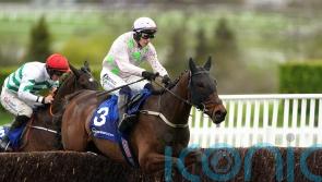Gaelic Warrior not ruled out of swift Fairyhouse return