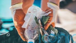 More than 480,000 items of litter removed from UK beaches in nationwide survey
