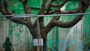 Banksy fans disappointed as new mural defaced