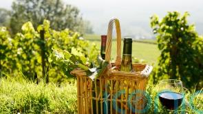 6 wines to taste the Languedoc-Roussillon