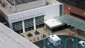 US surgeons transplant pig kidney into patient