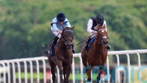 French Guineas goal for Chic Colombine
