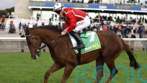 Shuwari ruled out of 1000 Guineas run