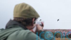 Grouse shooting laws will have ‘seismic’ impact, campaigners claim