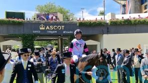 Porta Fortuna likely to take in Classic trial