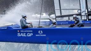 Endangered dolphins halt sailing event in New Zealand