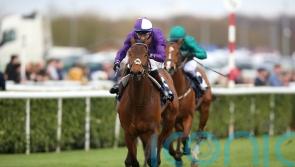 Lincoln strike sets Egan up perfectly for big year with Amo Racing