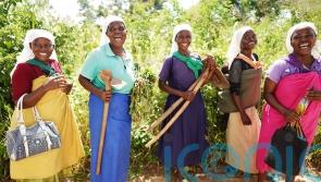 Malawians dare to hope in face of David-Goliath climate struggle