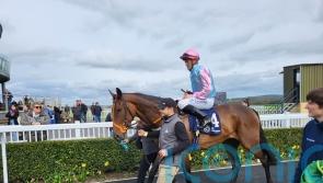 Purple Lily proves significant potential in Naas triumph