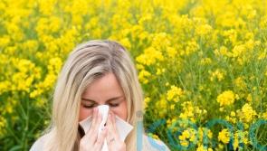 Hay fever ‘misery’ for millions this pollen season – expert advice for prevention and treatment