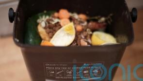 English councils to get £295m for implementing weekly food waste collections