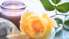 How to scent the home with seasonal vibes