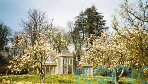 5 sensational spring walks to make you feel alive