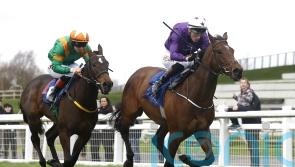 Murray plotting path to Royal Ascot with Arizona Blaze