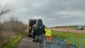 Stolen 8ft Gary the Gorilla statue returned to owner cut in half