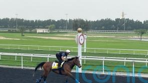 Dubai Turf distance expected to suit Nashwa