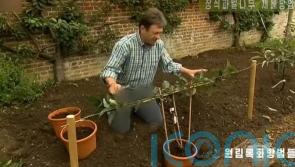 Alan Titchmarsh’s trousers censored on North Korean TV