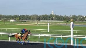 Meydan reunion for Dettori and Gosden