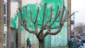 Banksy mural covered with plastic sheeting and wooden boards