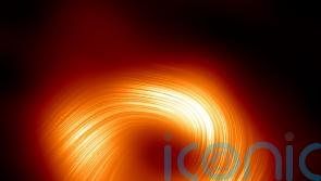 New image shows magnetic fields at edge of Milky Way’s central black hole