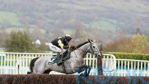Eldorado Allen primed for Grand National challenge