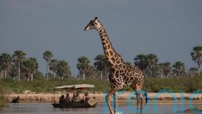 How do you choose an ethical wildlife holiday?