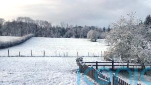 Snow falls in south-west England and Wales ahead of wet and windy weather
