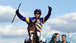 Fox clear to ride Grand National favourite Corach Rambler