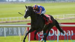 Big year for Auguste Rodin starts in Sheema Classic
