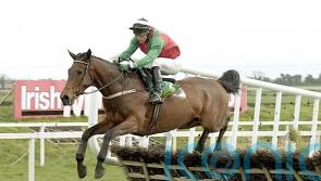 Hugely-popular hurdler Limestone Lad dies at the age of 32