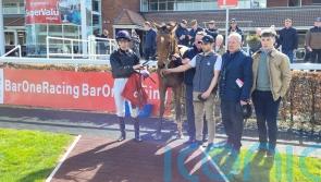 Straightforward seasonal return for One Look at Cork