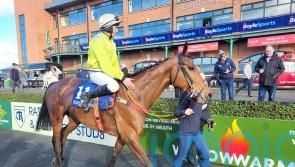 Mousey Brown springs another surprise at Fairyhouse