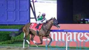 Laurel River in full flow for Dubai World Cup rout