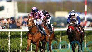 Cunha has Royal Ascot ambitions for Zminiature