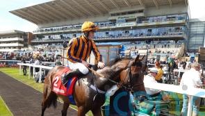 Teal plotting direct 2000 Guineas route for Dancing Gemini