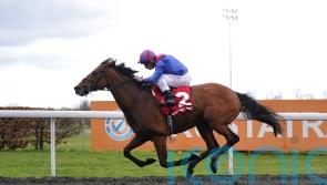 Dubai Honour makes most of Magnolia opportunity