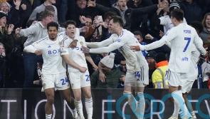 Daniel Farke relieved to see Leeds secure crucial victory despite injuries