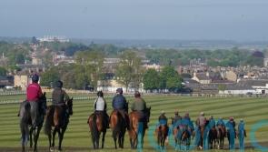 Leading Qatari trainer Hamad Al-Jehani to make Newmarket move for Wathnan