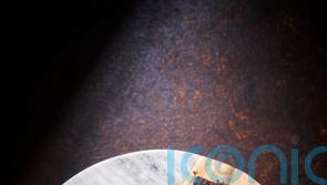 Chocolate, date and walnut brownie recipe
