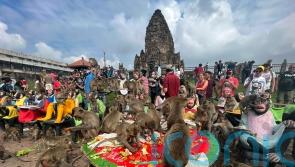 Plan unveiled to end years of monkey mayhem in city in Thailand