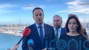 Calls for government action on insurance reform as premiums continue to rise