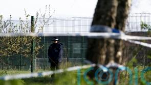 Murder probe police search park where human remains found