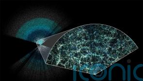 Scientists make ‘largest and most precise’ 3D map of expanding universe