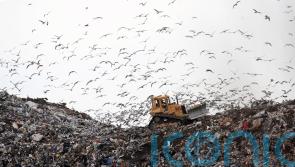 Government ‘off-track’ to hit waste reduction targets as 2022 saw 3% drop