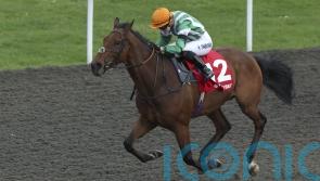 Duty Of Care powers clear for emphatic Queen’s Prize victory
