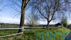 Man and woman arrested on suspicion of murder after human remains found in park