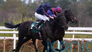 Battle Cry swoops late for Leopardstown honours