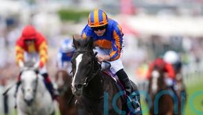 O’Brien eyeing Tattersalls Gold Cup redemption for Auguste Rodin