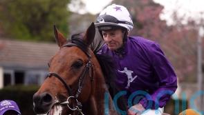 Dallas Star shocks Ballysax rivals with 50-1 strike