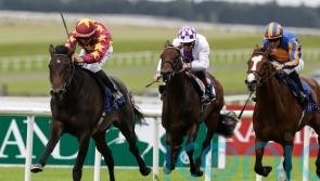 O’Brien sets Ganay assignment for returning Al Riffa
